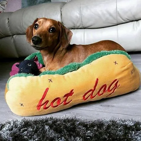 Dach Everywhere™ Hot Dog Bed