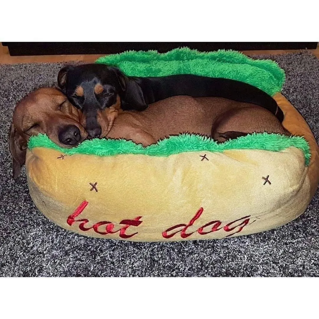 Dach Everywhere™ Hot Dog Bed